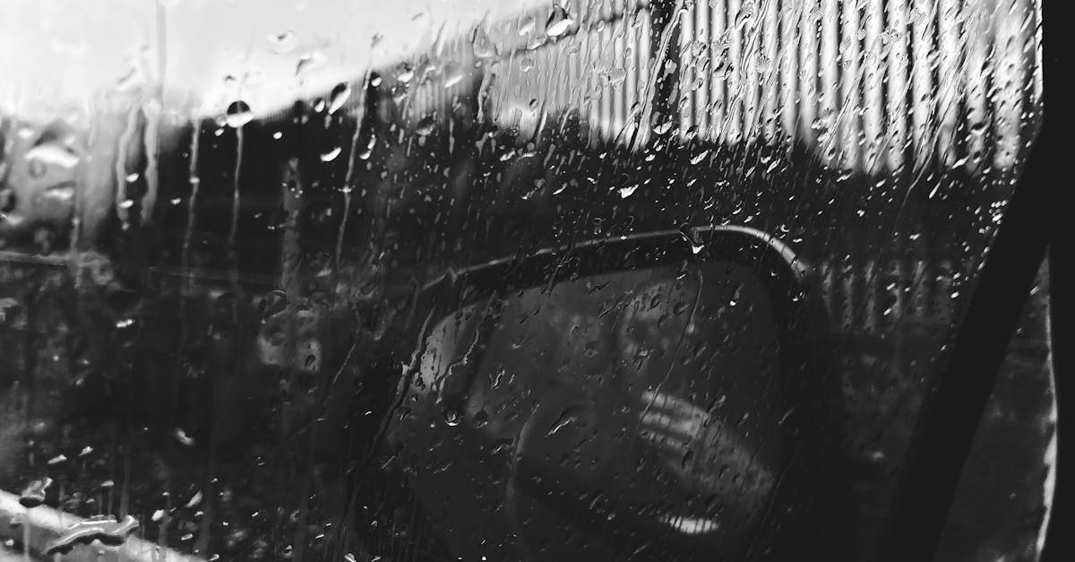 Best Practices for Maintaining Your New Windscreen in Sydney