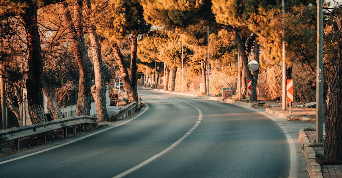 Understanding Labour Costs in Windscreen Replacement Services